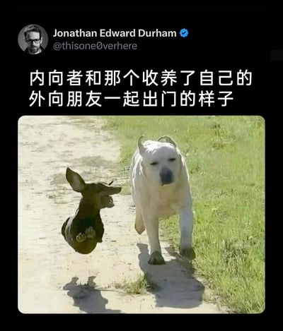 暂无描述