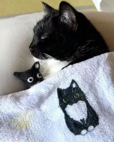 一只黑白相间的猫咪正蜷缩在沙发上，双眼微闭，显得十分惬意。它身上盖着一条浅色毛毯，毛毯上绣着一只神态相似的黑白猫咪图案，胸前有白色毛发，眼睛是黄色的，旁边还有一个黄色的爪印刺绣。在大猫的怀里，一只小小的黑色猫咪玩偶露出脑袋，睁着圆溜溜的大眼睛，与毛毯上的刺绣猫咪形成有趣的呼应，画面温馨又可爱。