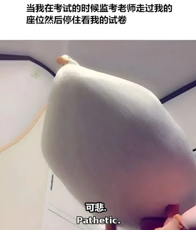 图片上方配有文字“当我在考试的时候监考老师走过我的座位然后停住看我的试卷”，描述了学生考试时的紧张场景。中间是一只体型较大的白色鸭子，它抬头向上看，姿态显得有些局促。图片底部有文字“可悲. Pathetic.”，幽默地表达了学生在监考老师注视下的无奈与紧张心情，通过鸭子的形象夸张化呈现了这一常见的校园经历。