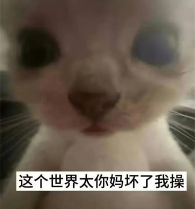一张猫咪的面部特写照片，猫咪有着明显的异色瞳（一只眼睛深色，一只眼睛蓝色），表情看起来有些愤怒或不满。图片底部有一行中文文字："这个世界太你妈坏了 我操"，表达了强烈的负面情绪。