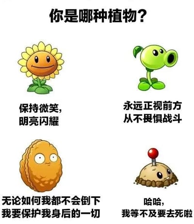 图片上方以黑色粗体字标注“你是哪种植物？”，下方分四格展示《植物大战僵尸》中的经典角色：左上角是黄色花瓣、面带微笑的向日葵，配文“保持微笑，明亮闪耀”；右上角是绿色茎秆、正视前方的豌豆射手，配文“永远正视前方 从不畏惧战斗”；左下角是棕色外壳、眼神坚定的坚果墙，配文“无论如何我都不会倒下 我要保护我身后的一切”；右下角是埋在土里、顶着红色引信的樱桃炸弹，配文“哈哈，我等不及要去死啦”。整体通过游戏角色的经典形象结合拟人化性格描述，形成趣味性格测试类梗图，引导观者对号入座。