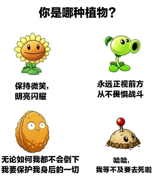 樱桃炸弹
