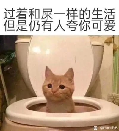 这是一张图文结合的静态梗图，画面主体是一只橘色小猫，它待在马桶内部，仅露出上半身，圆睁着眼睛，神情看起来委屈又无辜。图片上方配有黑色文字“过着和屎一样的生活 但是仍有人夸你可爱”，以自嘲的语气，将不如意的生活状态比作糟糕的处境，同时又传递出一丝被他人认可的温暖。可爱的猫咪形象与扎心又治愈的文字相结合，精准戳中了许多在生活中遭遇不顺却依然被身边人喜爱的群体的心境，极易引发情感共鸣。