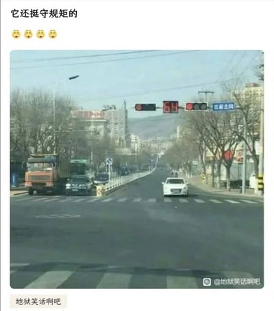 这张图片展示了一条城市街道的场景，交通信号灯显示红灯，一辆白色小轿车正规范地停在斑马线前等待，道路两侧有其他车辆也处于静止状态。图片上方配有文字“它还挺守规矩的”并附带四个大笑表情，通过拟人化的方式将遵守交通规则的小车形容为“守规矩”，营造出幽默的效果。
