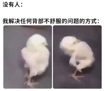 这张梗图通过左右两张对比图幽默展示了“解决背部不适的方式”。上方文字“没有人:”与“我解决任何背部不舒服的问题的方式:”形成对比，下方左侧是正常站立的白色绒毛小鸡，右侧是小鸡扭动身体、用喙够背部的搞笑姿势，用动物的可爱动作夸张表现人们解决身体不适时的滑稽行为。