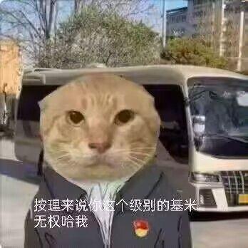 这是一张P图改编的搞笑合成梗图，将真实猫咪的脸合成到身着带有党徽正装的人物头部，背景是户外的大巴车。图中配文「按理来说你这个级别的基米无权哈我」，运用了谐音梗：「基米」是「虾米（小人物）」的谐音，「哈我」是「管我」的谐音，模仿上级对下级的强硬语气，结合猫脸的反差感，制造出滑稽戏谑的搞笑效果，用来调侃层级关系或职场中的管理场景。
谐音梗说明：「基米」谐音「虾米」，指代小人物；「哈我」谐音「管我」，表示干涉自己的意思。