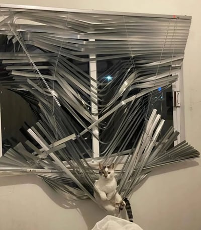 一只猫平静地坐在被严重破坏的百叶窗前，百叶窗呈现出扭曲的抽象形状。猫咪表情淡定，与周围的混乱形成鲜明对比，展现了宠物破坏家居后的经典场景。