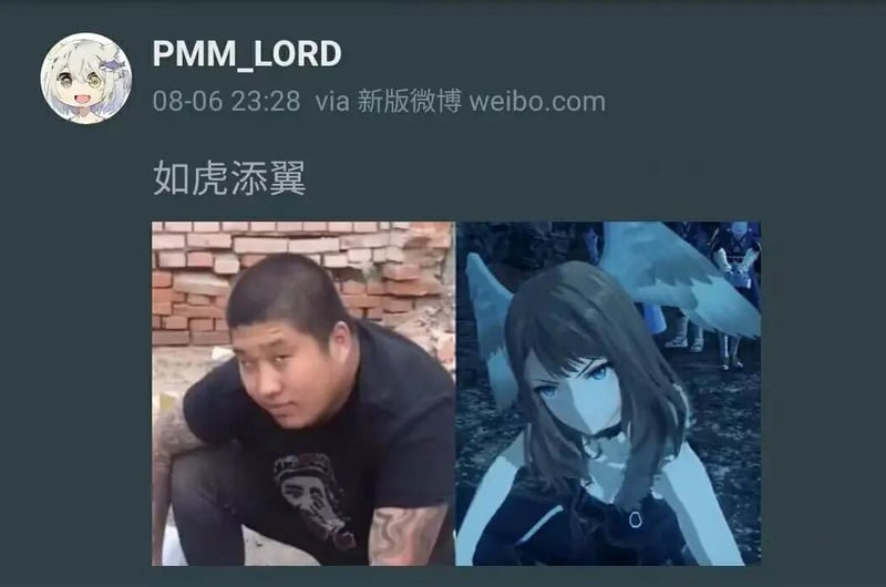 虎哥