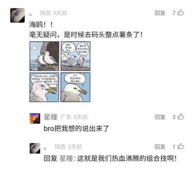 这是一张国内社交媒体评论区的截图，最上方是来自陕西的用户“。”发布的内容，包含文字“海鸥！！毫无疑问，是时候去码头整点薯条了！”和一则四格海鸥漫画。漫画里，一只海鸥向同伴询问人生方向与活着的意义，另一只海鸥始终将“去码头整点薯条”这个日常小事当作人生终极目标，用调侃的方式传递出躺平式的生活态度。下方来自广东的用户“星瞳”评论“bro把我想的说出来了”，发布者回复“这就是我们热血沸腾的组合技啊！”，体现出网友对这个梗的强烈共鸣。