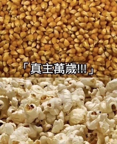 暂无描述