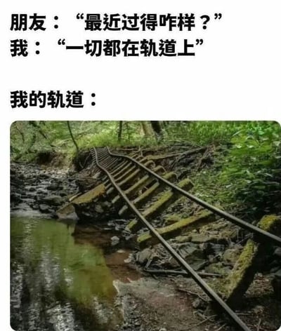 图片上方是一段对话文字：朋友问“最近过得咋样？”，“我”回答“一切都在轨道上”，下方配有一张废弃铁轨的照片。铁轨锈迹斑斑、部分断裂，周围长满杂草，旁边还有小溪流过，呈现出杂乱无章、无人维护的状态。通过“在轨道上”的字面意义与实际混乱铁轨的对比，形成幽默效果，暗示表面说生活顺利，实则一团糟的自嘲心态。