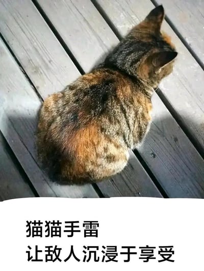 图片上半部分是一只玳瑁猫背对着镜头，蜷缩在木质地板上，圆润的身形从背面看酷似一颗手雷；下半部分配有黑色文字“猫猫手雷 让敌人沉浸于享受”。这张图玩了形象梗和反差梗，将猫咪可爱的蜷缩姿态和手雷的外形结合，同时反套路地赋予这个“手雷”治愈的效果，调侃猫咪的可爱足以让“敌人”沉浸在撸猫的享受中，充满搞笑和治愈的氛围。