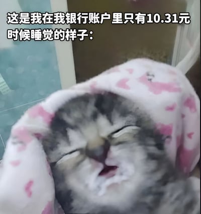 图片上方有文字“这是我在我银行账户里只有10.31元时候睡觉的样子：”，下方是一只裹在粉色带心形图案毯子里熟睡的小猫，眼睛紧闭，嘴巴微张，表情十分安详。通过可爱的猫咪形象与拮据的财务状况形成幽默对比，表达了虽然没钱但依然能安心入睡的自嘲心态。