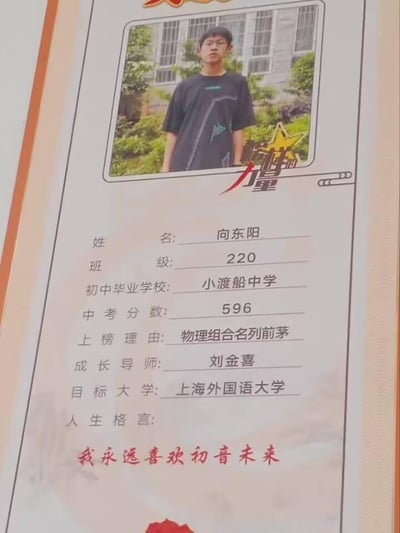 这是一张学校为优秀学生制作的竖版带边框光荣榜，采用图文混排的形式。图中展示了学生向东阳的详细信息：他毕业于小渡船中学，中考取得596分的成绩，现就读于220班，因物理组合成绩名列前茅登上光荣榜，成长导师是刘金喜，目标大学为上海外国语大学。在人生格言这一栏，他没有填写常规的励志话语，而是写下了「我永远喜欢初音未来」，这种学霸的优秀身份与二次元爱好的强烈反差，让原本严肃正式的光荣榜变得充满趣味，展现了当代优秀学生也拥有自己独特的兴趣爱好，打破了大众对学霸的刻板印象。