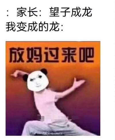 这张梗图主要嘲讽了家长“望子成龙”的期望与现实中的反差。上方漫画式的对话：“家长：望子成龙，我变成的龙：”，配合下一张搞笑配图，画面中是一位身穿舞蹈服装、头戴搞笑熊猫头套的人，摆出舞龙的姿势，背景写着“放妈过来吧”，通过夸张幽默的方式表达了“家长期望我成龙，结果我成了一种表演型的龙”这种现实落差，带有自嘲和无奈的成分，有一定的谐音梗和网络幽默氛围。

谐音/双关点：
- “成龙”在这里被幽默地解释为“舞龙”，而不是成就非凡的人。
- “放妈过来吧”用幽默口吻调侃家庭教育和略带无厘头的自我转化。