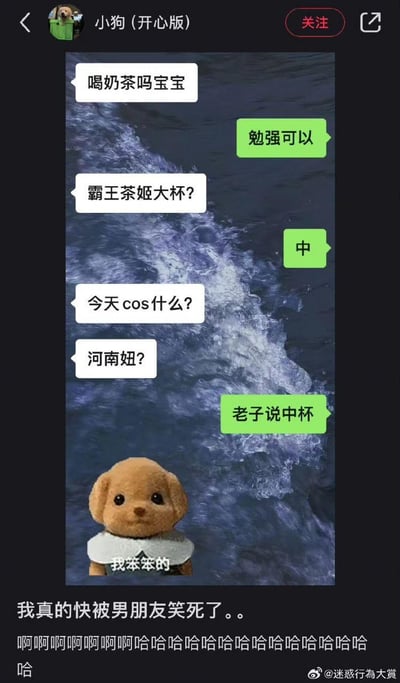 这是一张搞笑梗图，以海浪为背景，底部有一个戴着白色围兜的棕色小狗玩偶，玩偶下方配有文字“我笨笨的”。图片上叠加了多组对话气泡，展示了一段情侣间关于喝奶茶的搞笑对话。白框对话：“喝奶茶吗宝宝”“霸王茶姬大杯?”“今天cos什么?”“河南妞?”；绿框对话：“勉强可以”“中”“老子说中杯”。对话中男朋友对奶茶杯型的坚持和突然出现的“河南妞”问题形成幽默对比。