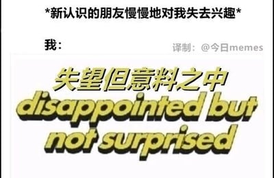 这是一张静态纯文字类自嘲meme，采用顶配底文的排版形式，上方以小字描述社交场景：“新认识的朋友慢慢地对我失去兴趣”，随后以“我：”引出下方醒目的金色中英文对照文字“失望但意料之中 disappointed but not surprised”，精准传递出在社交关系中，当察觉到他人热情消退时，那种早有心理准备却仍难免失落的复杂情绪，直白的表述容易引发有类似社交经历用户的情感共鸣。