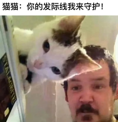 一张幽默的合成图片，画面中一只白色带有黑色斑点的猫趴在一名男性的头顶上，猫的头部恰好位于男性的发际线位置。图片上方配有文字“猫猫：你的发际线我来守护！”，通过猫咪的姿势和文字内容形成有趣的呼应，幽默地表达了猫咪“保护”主人发际线的可爱场景。