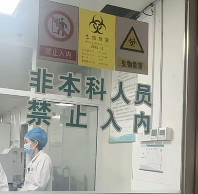 这是一张生物安全二级（BSL-2）实验室入口的实拍图，玻璃门上方张贴有正规的“禁止入内”标识、黄底和灰底两款生物危害警示标识，标注该区域为BSL-2级生物安全区域，仅授权人员可进入。玻璃门上原本应是“非本科室人员禁止入内”的提示标语，因“室”字脱落，仅剩“非本科人员禁止入内”的字样，形成了看似仅限本科学历人员进入的搞笑误会，门内可见一位身着白色实验服、佩戴蓝色医用帽和口罩的工作人员站立在实验室内部。