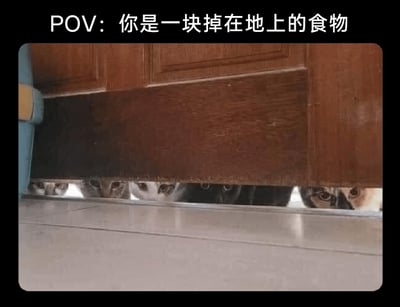 这张图片采用第一视角（POV）的趣味设定，模拟掉落在地面的食物的视角展开画面。画面下方是光滑的室内瓷砖地面，上方橱柜的底部缝隙里，多只猫咪只露出脑袋和眼睛，齐刷刷地专注盯着地面，眼神里充满对食物的渴望，仿佛下一秒就要扑向地面的“食物”。图片顶部的文字“POV：你是一块掉在地上的食物”点明了整个场景的趣味核心，生动地放大了猫咪贪吃、对食物极度执着的天性，让画面充满了诙谐搞笑的氛围。