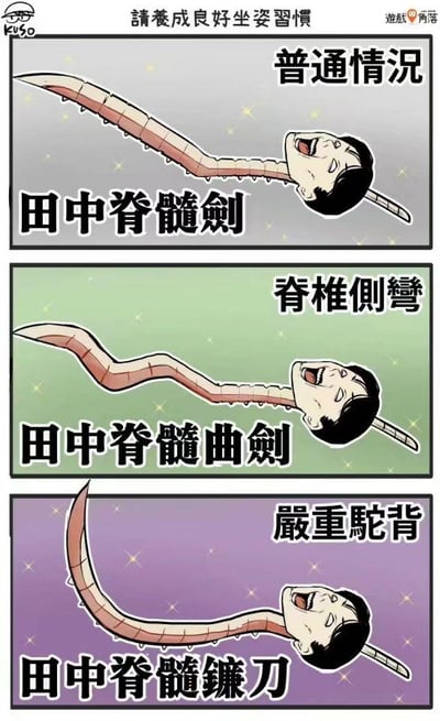 这是一张三格连环卡通图，旨在通过幽默夸张的方式提醒养成良好坐姿习惯。顶部标题为“请养成良好坐姿习惯”，下方三格分别展示不同坐姿下的脊椎变化：第一格“普通情况”中脊椎呈直线状，标注“田中脊髓剑”；第二格“脊椎侧弯”中脊椎弯曲，标注“田中脊髓曲剑”；第三格“严重驼背”中脊椎大幅弯曲如镰刀，标注“田中脊髓镰刀”。每格中人物头部均呈现夸张痛苦的表情，将脊椎比喻为不同形态的武器，以搞笑方式警示不良坐姿的危害。