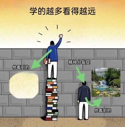 这是一张反讽风格的文字加注卡通静态图，图顶部配有常规励志标语「学的越多看得越远」，画面呈现左右对比的场景：左侧人物站在一摞极高的书本上，位置足以越过面前的石墙，手中还持有书本，但其「看到的」却是一片模糊的黄色区域；右侧被标注为「精神分裂症」的人物站在墙下，无法越过石墙，却能「看到」清晰优美的山水瀑布风景。图中通过这种完全违背标题逻辑的认知反差，制造出荒诞的幽默效果，是对「知识拓展眼界」这类常规认知的反套路调侃。