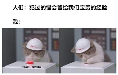 图片上方有两行文字对比：'人们：犯过的错会留给我们宝贵的经验'和'我：'。下方是两张并排的猫咪图片，猫咪戴着白色安全帽，左侧图片中猫咪正在按压红色按钮，下方配有文字'和以前一样的错误'，右侧图片中猫咪继续按压按钮。通过文字与猫咪重复按按钮的动作，幽默地表现了人们常说犯错能吸取经验，但自己却总是重复犯同样错误的自嘲场景。