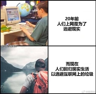 这张梗图分为上下两部分，上半部分是一位小孩在1990年代风格的电脑前上网，配文表示“20年前人们上网是为了逃避现实”；下半部分是一位背包客坐在湖边欣赏自然风光，文字写道“而现在人们回归现实生活以逃避互联网上的垃圾”。这张图用对比的形式幽默地展现了网络与现实角色的变化，也调侃了现代互联网内容的无聊和压力大。

没有明显的谐音梗或双关，但用反差梗进行讽刺。