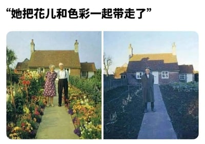 图片分为左右两栏，展示了同一所房子前的不同场景。左图中，一对老年夫妇站在色彩鲜艳、鲜花盛开的花园小路上，画面温馨美好；右图中，只有一位老年男性独自站在同样的位置，但花园已变得荒芜，没有了鲜花和色彩，只剩下光秃秃的土地。图片上方配有文字“她把花儿和色彩一起带走了”，通过强烈的视觉对比，表达了失去伴侣后生活失去色彩的伤感主题。
