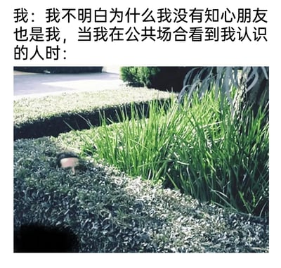 这是一张精准调侃社恐人群矛盾心态的图文梗图。上方文字分为两个部分，第一部分是“我”困惑自己始终没有知心朋友，第二部分则引出“我”在公共场合见到熟人时的反应；下方配图是一个人躲在茂密的灌木丛中，仅露出头部，生动夸张地表现出社恐人群在面对社交场景时，下意识想要回避、隐藏自己的行为，精准戳中了社恐人群渴望拥有友谊，但又因社交恐惧而主动回避社交的矛盾日常，用搞笑的方式引发同类人群的强烈共鸣。