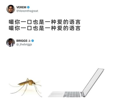 这是一张来自推特（X）平台的互动式搞笑梗图，用户VEREM发布了重复的文字“嘬你一口也是一种爱的语言”，将令人厌烦的蚊子叮咬行为用温情的“爱的语言”来调侃，形成反差感；用户BRIGGS则用一张合成图回应，图中一只蚊子正对着打开的笔记本电脑，仿佛在通过电脑“表达”这种“爱的语言”，把蚊子拟人化，生动地呼应了前者的玩梗内容，用幽默的方式吐槽日常被蚊子叮咬的困扰，让讨厌的场景变得趣味十足。