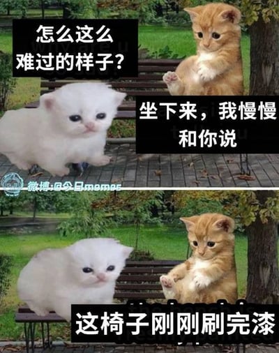 图片为上下两格拼接的猫咪搞笑梗图。上格中，一只白色小猫坐在公园长椅上，表情委屈难过，旁边的橘猫抬起爪子关切地问：“怎么这么难过的样子？”并邀请道：“坐下来，我慢慢和你说”。下格延续同一场景，橘猫揭晓真相：“这椅子刚刚刷完漆”，形成恶作剧式的幽默反转。背景为有绿树和草地的公园环境，整体氛围轻松搞笑。