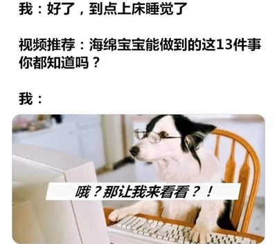 这张梗图通过上下文字和中间图片的组合，幽默地表现了人们睡前被网络内容吸引的常见经历。上方文字显示"我：好了，到点上床睡觉了"，表示下定决心要睡觉，接着出现"视频推荐：海绵宝宝能做到的这13件事你都知道吗？"，最后以一张戴着眼镜的狗坐在电脑前，配文"哦？那让我来看看？！"的图片结尾，生动展现了人们总是忍不住被有趣内容吸引而推迟睡觉的真实写照。