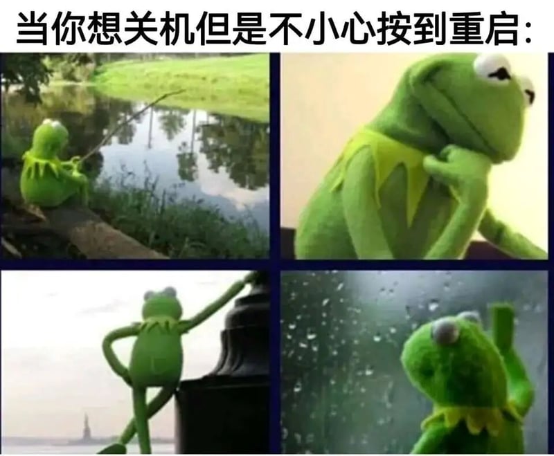 《大青蛙布偶秀》