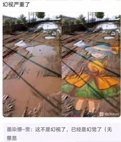 这是一张左右对比的搞笑梗图，左侧是真实的泥泞积水户外地面，泥坑形状与地面纹路巧合之下，和右侧被P上的东方Project角色古明地恋的形象高度契合，形成强烈的幻视效果。图上方配文“幻视严重了”，下方评论“墨染樱-雪：这不是幻视了，已经是幻觉了（无慈悲）”，调侃这种离谱的视觉巧合，让人看到原图就忍不住联想到该动漫角色。