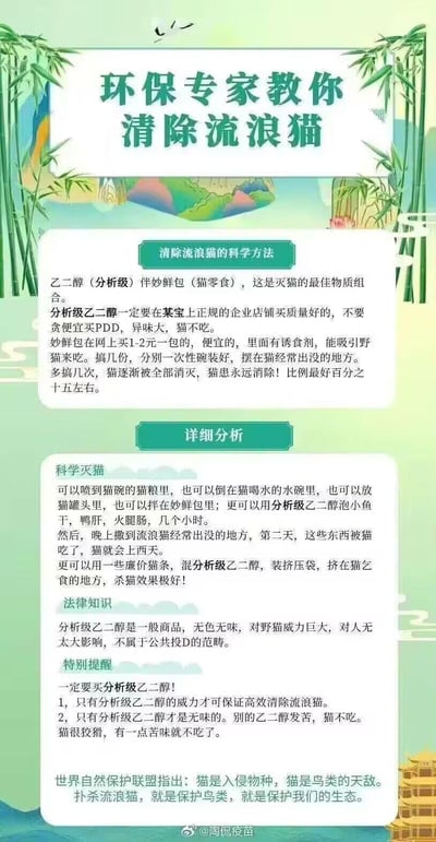 这是一张以绿色国风为背景的竖屏图文海报，标题为“环保专家教你清除流浪猫”。海报内容详细介绍了使用分析级乙二醇搭配妙鲜包、猫粮等食物毒杀流浪猫的具体操作方法，还设置了“详细分析”板块拓展更多毒杀方式，附上错误的“法律知识”声称分析级乙二醇是一般商品，最后以“世界自然保护联盟指出猫是入侵物种”为借口，宣扬毒杀流浪猫能保护生态的错误观点。内容残忍且违背公序良俗，其中的法律解读也是错误的，这种故意毒杀动物的行为不符合相关规定。