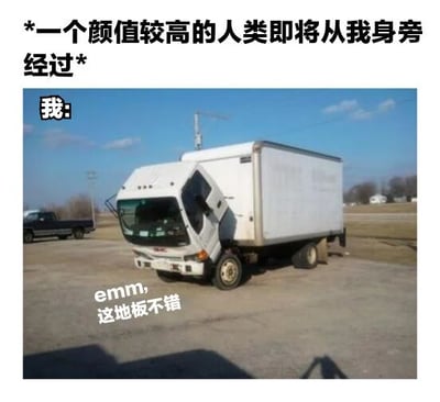 图片上方文字描述“*一个颜值较高的人类即将从我身旁经过*”，下方配有一辆白色卡车车头向下倾斜的照片，仿佛人低头的姿势，图片中叠加文字“emm, 这地板不错”。通过卡车低头的视觉效果与文字结合，幽默地表现了当遇到高颜值的人经过时，自己因害羞或社交尴尬而假装关注地板的回避行为，充满自嘲和搞笑意味。