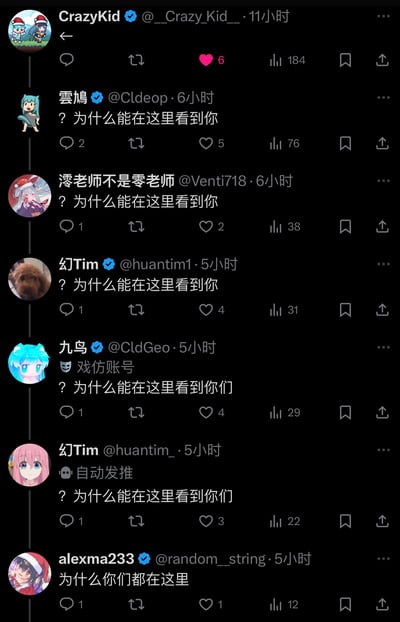 这是一张X.com（原Twitter）的评论区截图，展示了一条有趣的互动线程。用户@_Crazy_Kid_发布推文后，多位网友（雲鳩、澪老师不是零老师、幻Tim、九鸟等）接连在评论区发出相似的疑问：“为什么能在这里看到你”或“为什么能在这里看到你们”，最后一位用户alexma233则总结式提问“为什么你们都在这里”。重复的句式和意外“撞车”的评论内容形成了一种无厘头的搞笑效果，仿佛大家都在同一个评论区偶遇了彼此，充满了社交媒体互动中的趣味巧合。