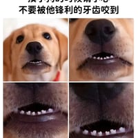 小黄狗