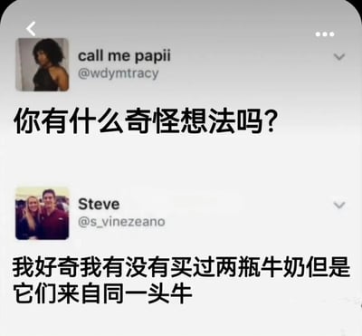 这是一张社交媒体聊天记录截图，展示了两位用户的对话。上方用户“call me papii”（@wdymtracy）头像为单人照，发出提问“你有什么奇怪想法吗？”；下方用户“Steve”（@s_vinezeano）头像为双人合影，回应了一个有趣的疑问：“我好奇我有没有买过两瓶牛奶但是它们来自同一头牛”。界面为竖屏手机格式，包含用户昵称、账号和头像信息，整体风格轻松搞笑，充满日常脑洞。