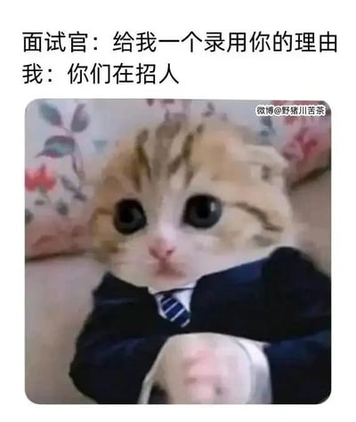 这是一张图文混排的搞笑职场梗图，上方配有两段对话文字：面试官提出问题“给我一个录用你的理由”，求职者给出了无厘头的回复“你们在招人”。下方是经过P图改编的图片，将一只睁着大圆眼睛、表情无辜局促的猫咪，合成上了西装和领带，猫咪双手交握放在身前，模拟出求职者在面试时紧张局促的状态。这个回复跳出了常规面试回答的逻辑，没有介绍自身优势，而是抓住公司正在招聘这个前提进行回应，用反向逻辑制造出幽默搞笑的效果，调侃了面试场景中求职者的另类应对方式。