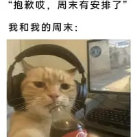 这是一张引发共鸣的搞笑meme图，上方配文「抱歉哎，周末有安排了」，下方接「我和我的周末：」，搭配一张真实猫咪的照片：猫咪头戴大尺寸耳机，嘴含可口可乐瓶，正对着面前的电脑，神态呆滞又投入。图中用拟人化的方式，精准调侃了当代年轻人周末拒绝外出社交，宅家沉浸在电脑娱乐（如打游戏、刷视频）中的慵懒状态，画风真实又好笑，很容易让有同款周末的网友产生共鸣。