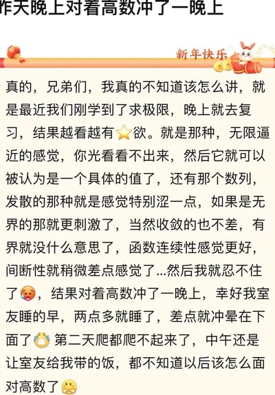 一张以文字为主的搞笑梗图，标题为“昨天晚上对着高数冲了一晚上”，内容是一段用微积分概念（极限、收敛、发散、连续性等）作为双关语的幽默叙述，描述了作者假装认真学习高等数学，实则进行自我安慰的搞笑经历。文中穿插了😭、🐍、🐥等表情符号增加趣味性，顶部有“新年快乐”的红色横幅和小兔子装饰图案。