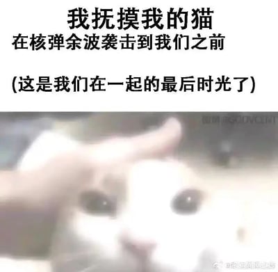 暂无描述