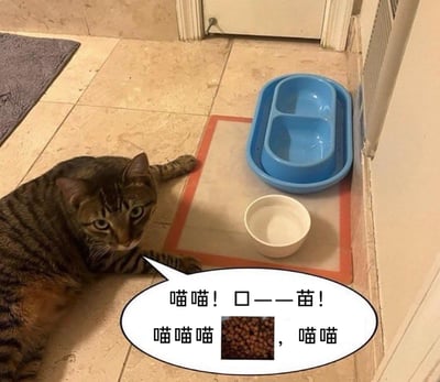 这是一张带创意对白气泡的静态实拍图，画面中一只狸花猫趴在室内瓷砖地面上，它的眼神委屈巴巴，似乎在为讨要食物而发愁。旁边的餐垫上摆放着空的蓝色双格食盆与白色小碗，表明猫咪正处于饥饿状态。对白气泡中用猫叫谐音中文，将‘要’拆分为‘口——苗’，搭配猫粮图片，玩了谐音梗，把猫的叫声转化为‘要猫粮’的诉求，生动有趣地表现出猫咪想要吃猫粮的急切心情，充满了生活趣味。