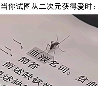 这张梗图顶部配有文案“当你试图从二次元获得爱时：”，下方是一张类似医学教材或试卷的页面，页面上印有“血液名词：贫血”“简答”“简述缺铁性”等文字，一只真实的蚊子被拼贴在“血液名词”的文字上方，做出吸血的动作。
双关梗解析：用蚊子试图从“血液名词”的文字里吸取血液的徒劳行为，类比二次元爱好者想要从虚拟的二次元世界获取真实情感慰藉的行为，最终只会像“贫血”一样，得不到满足，内心空虚，用谐音和场景错位制造搞笑又无奈的吐槽效果。