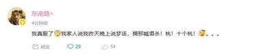这是一条微博用户动态截图，用户「东南路丶」分享自己的搞笑经历：家人告知自己昨晚说梦话时大喊桌游《三国杀》里的术语「酒杀！桃！十个桃！」，并配上无奈捂脸的表情，动态收获29条评论与54个点赞。
梗说明：「酒杀」是《三国杀》中使用卡牌「酒」后出「杀」可造成双倍伤害的操作，「桃」是《三国杀》中用于恢复体力的卡牌，用户连梦话都在念叨游戏术语，尽显对游戏的痴迷，十分搞笑。