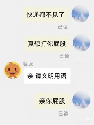 这是一张模拟聊天记录的梗图，展示了用户因快递丢失与客服的幽默互动。用户先发送“快递都不见了”和“真想打你屁股”，均显示“已读”；随后客服回复“亲 请文明用语”，用户则俏皮回应“亲你屁股”。整体氛围轻松搞笑，反映了日常客服沟通中的小插曲。