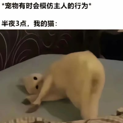 这张图片展示了一只猫在半夜3点模仿主人使用手机的有趣场景。图片上方配有文字说明："宠物有时会模仿主人的行为"和"半夜3点，我的猫："。照片中，一只浅色的猫趴在床上，前爪向前伸展，身体呈弯曲状，姿势酷似人类躺在床上使用手机的样子，幽默地表现了宠物模仿主人行为的可爱瞬间。