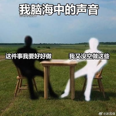 这张梗图描绘两个人影分别代表内心想努力做事和觉得没空之间的自我斗争。左侧黑色人影表示“我要好好做”，右侧白色人影表示“我又没空做这些”，突出表现了现代人面对任务时的心理内耗与拖延心理。画面中用一种轻松幽默的方式表达焦虑和无奈，非常适合用来自嘲和转发给有同感的朋友。无明显谐音或暗示，但“自问自答、头脑风暴”构成轻微自黑及群体性共鸣。